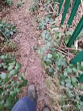 FreezingTie850 Webcamshow