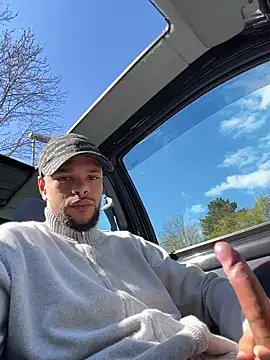 Lionayoweのウェブカメラショー