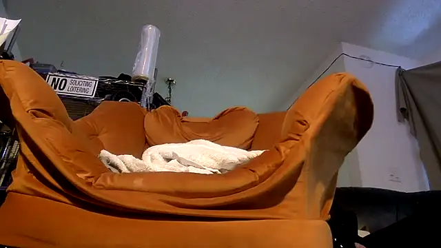 Show webcam de TheHellBilly