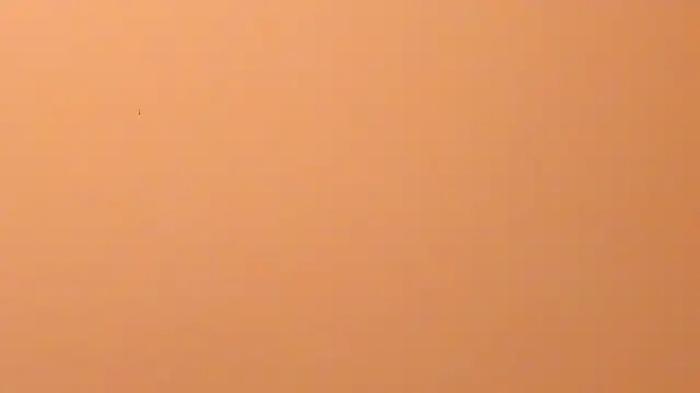 b3cky_n Live XXX chat