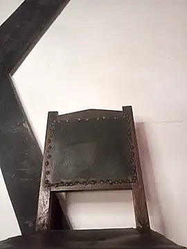 Show webcam de miasimsfu