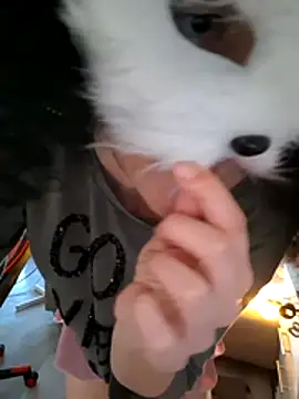 Chat XXX en directo de SPrITZMAUS