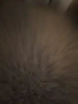 Paige_love – webcam-show