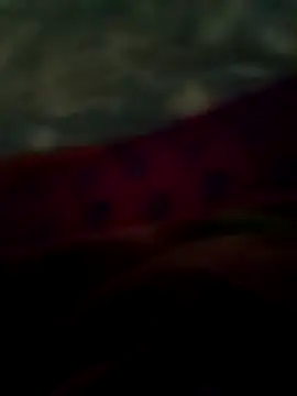 Show modela Kingtooti na web-kameri