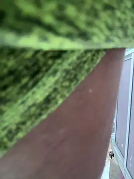 Chat XXX ao vivo de Paul22cm-