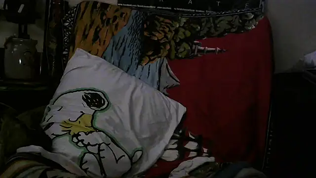 Show Webcam de crassanova