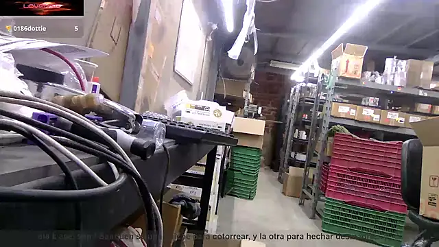 BustedCall webcam show