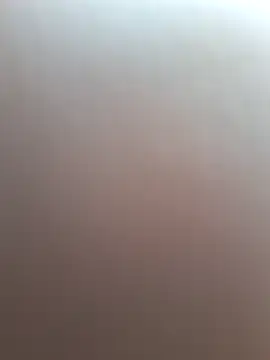 Show webcam de jlc069