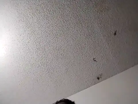 247Srokin élő XXX-chatje