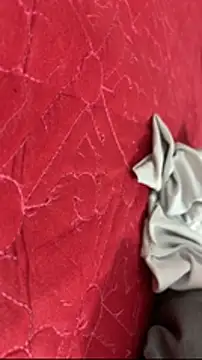 vietAnhzip 在線直播表演