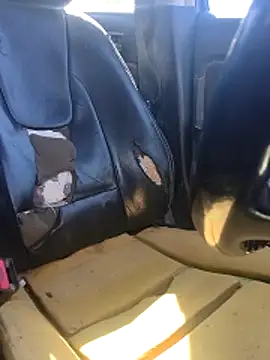 FloppyPickle4u Live XXX-chat