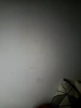 iamlalamilano Live XXX-Chat