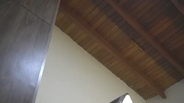 Chat XXX Live patty_m