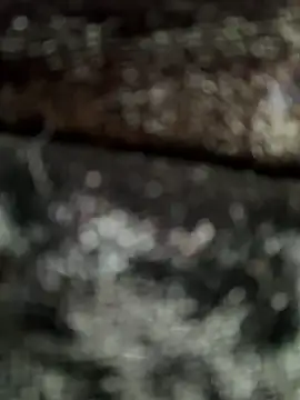 Živý XXX chat Irresistible24