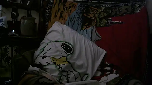 crassanovaのウェブカメラショー