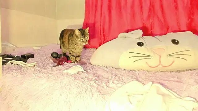 Alysson_cbのライブXXXチャット