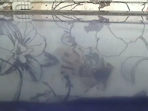 opsora221: вебкам-шоу