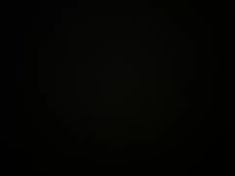 Show webcam de dawja