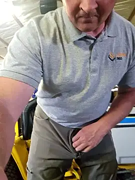 Show webcam de taurada76