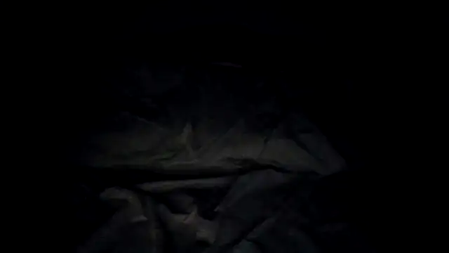 Webkamerová show zandyplus