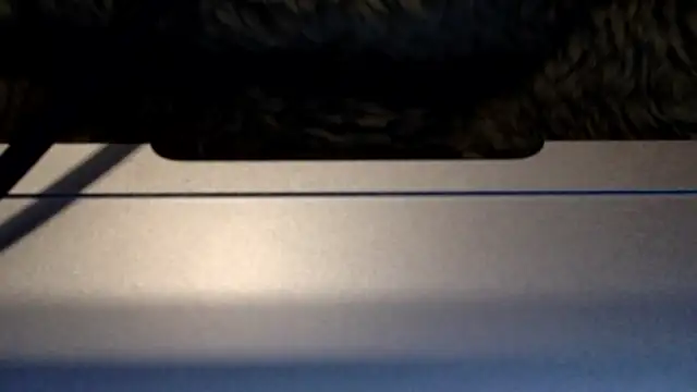 spazz247: διαδικτυακό σόου στην κάμερα