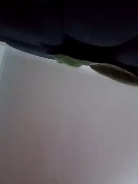 lorexxxxxのウェブカメラショー