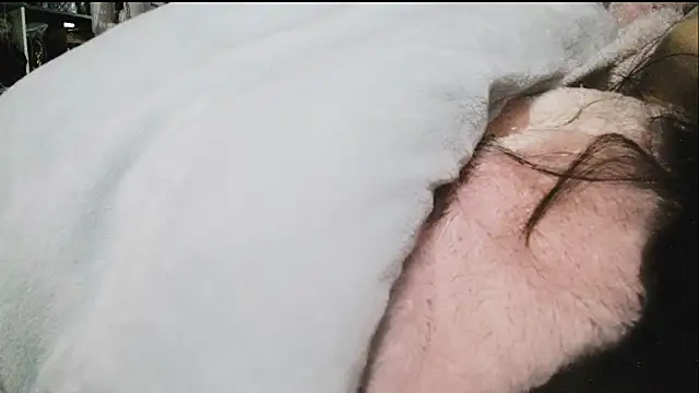 hebe-02 在線直播表演