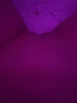 Business_pussy69 现场XXX聊天