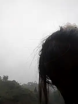 Chat XXX ao vivo de Maymay0033