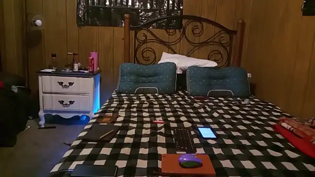 JunkieLiLMethWhore: διαδικτυακό σόου στην κάμερα