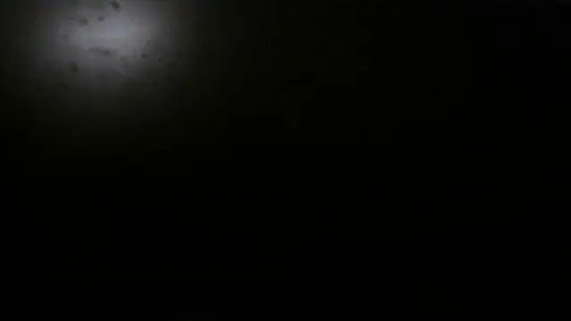 Show Webcam de crassanova