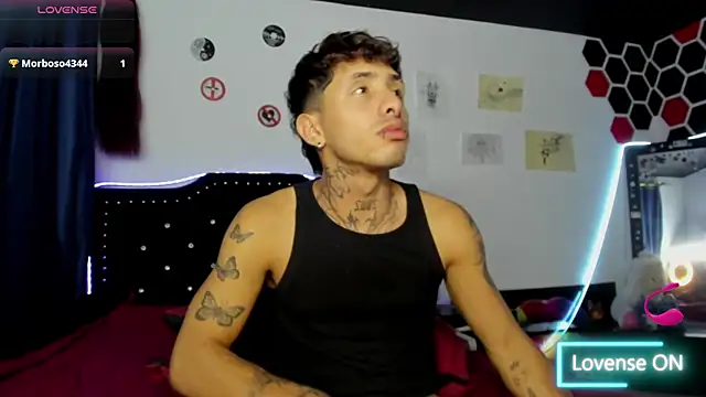 Вебкам-шоу pol_mood