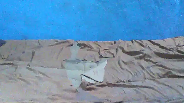 Chatroom XXX en direct de little__joy