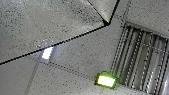 Živý XXX chat Aisha_hotts777