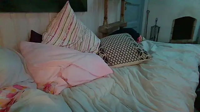 Stock-Holmes Webcam Show