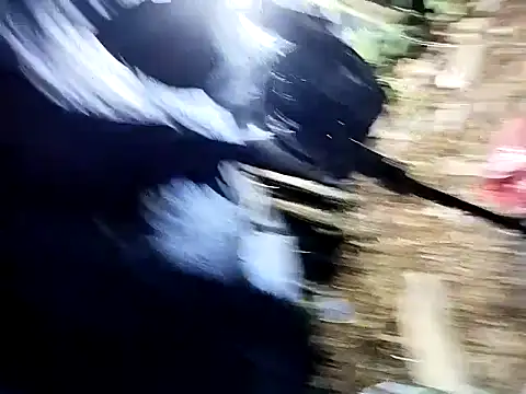 dsvrsan Webbikameraesitys