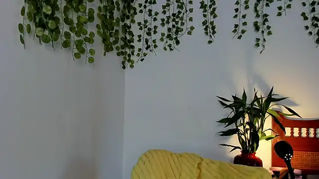 Ariana_Springn Live XXX chat