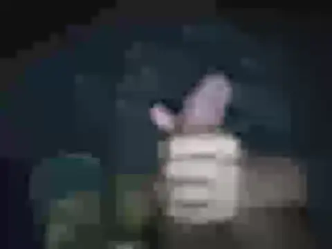 Show Webcam de jheisonct