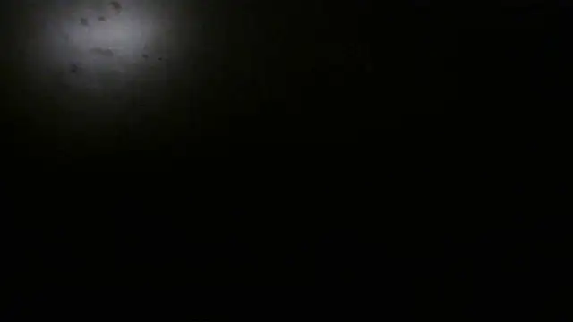 Pertunjukan Kamera Web crassanova