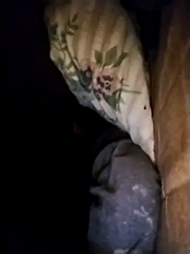 Chat XXX ao vivo de Catitomalo