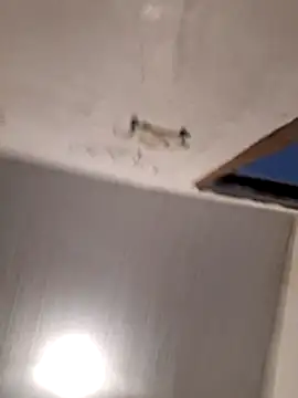 hotjengg44's Live XXX Chat