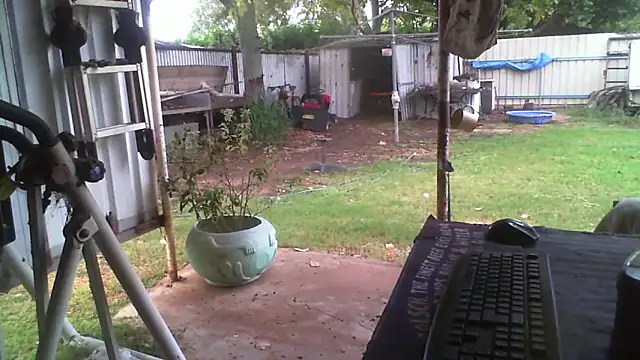 herbie010666 Show in webcam