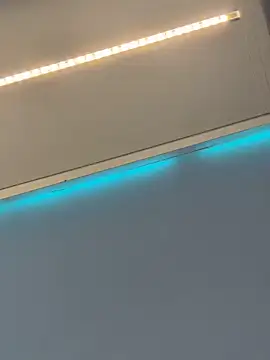 Show Webcam de stefhart