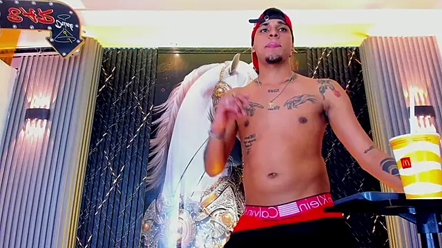 Show modela the_knights_of_the_night_ na web-kameri