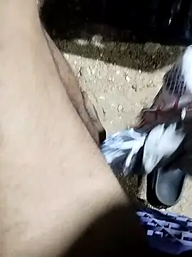 Živý XXX chat spittermasterpig1