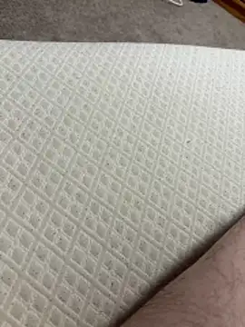 Chat XXX Live bigdickens69BWC