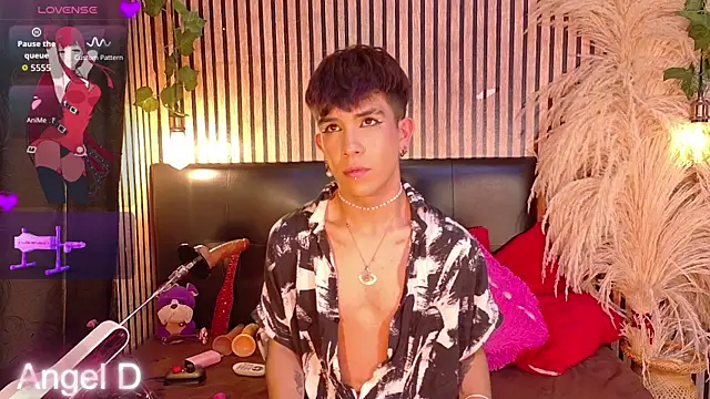 Show webcam de Angeldust19