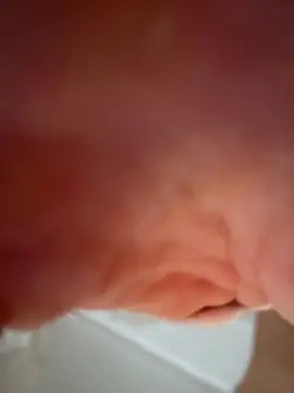 pinkstar_ Live XXX-Chat