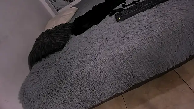 Webkamerová show Miss_KhalifaDoll