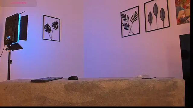 -XS-のウェブカメラショー